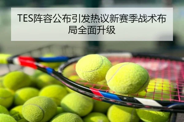 TES阵容公布引发热议新赛季战术布局全面升级