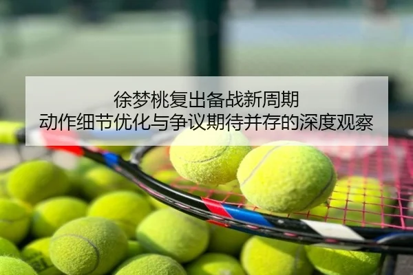 徐梦桃复出备战新周期 动作细节优化与争议期待并存的深度观察